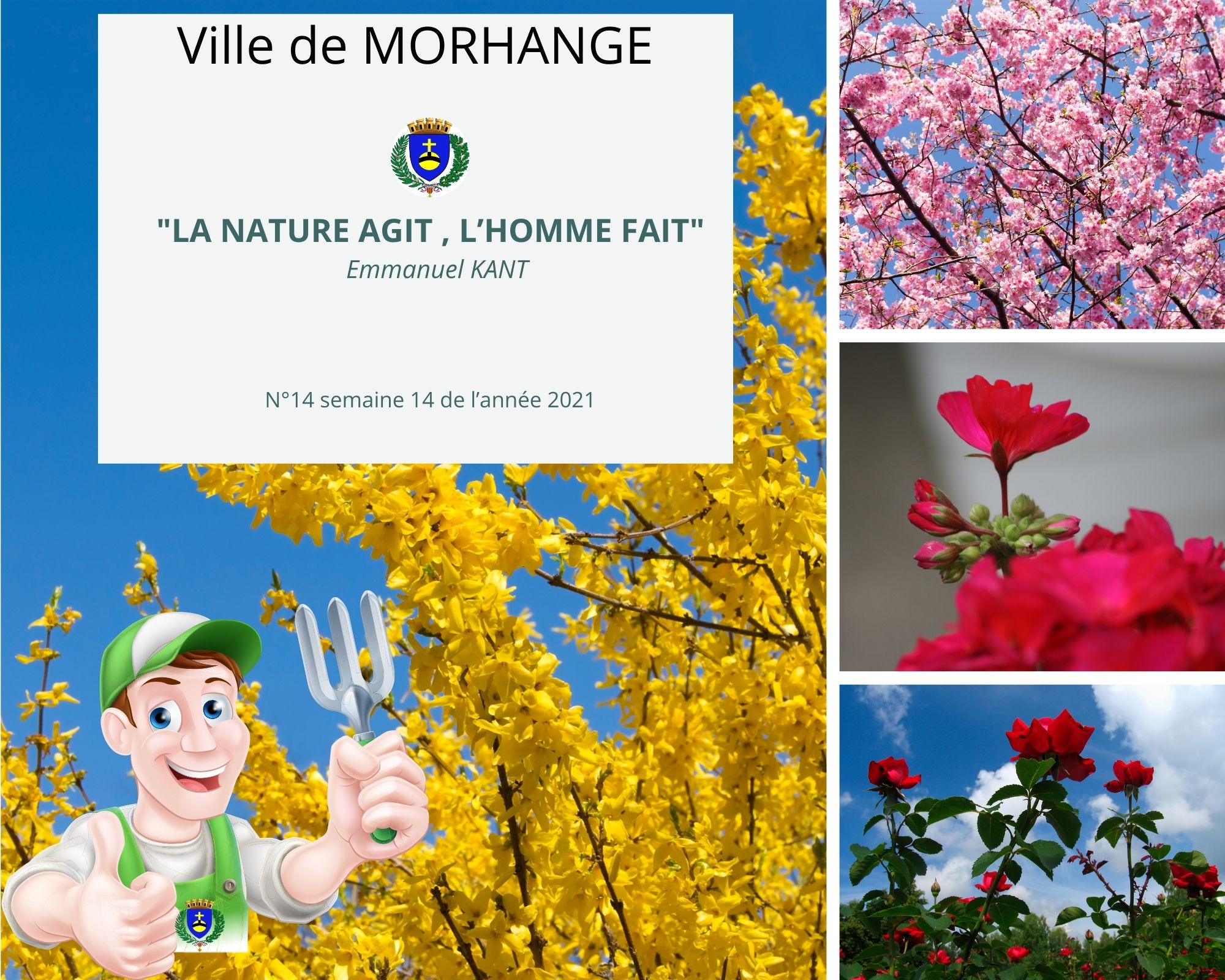 La nature agit, l'homme fait : Semaine 14